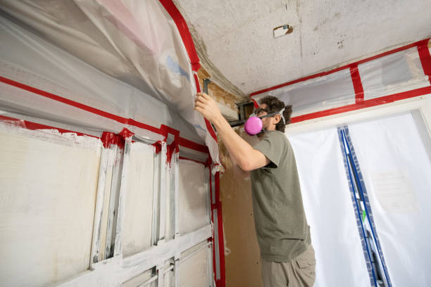 Best Residential Mold Inspection & Testing  in Margate, FL