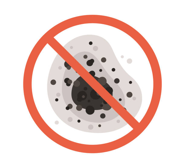Best Airborne Mold Testing  in Margate, FL