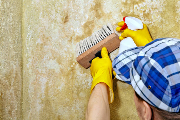 Best Indoor Air Quality Assessment  in Margate, FL