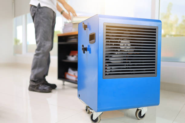 Best Mold Documentation for Insurance Claims  in Margate, FL
