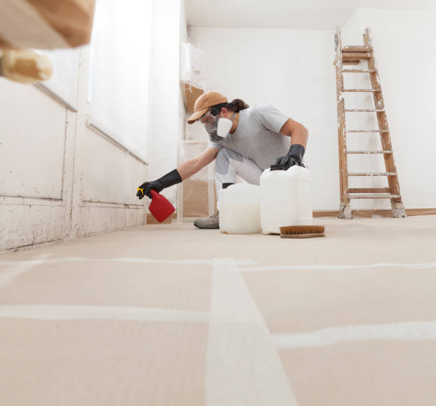 Reliable Margate, FL Mold Removal Solutions